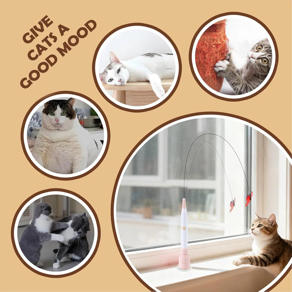 jouets électriques pour chat à ventouse papillon